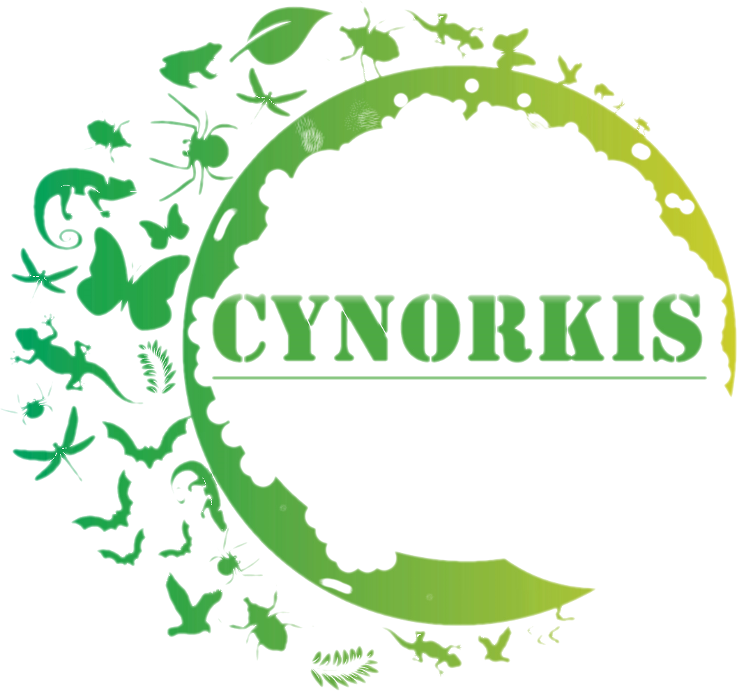 Logo CYNORKIS